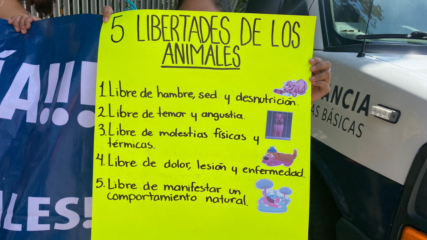 derechos de los animales
