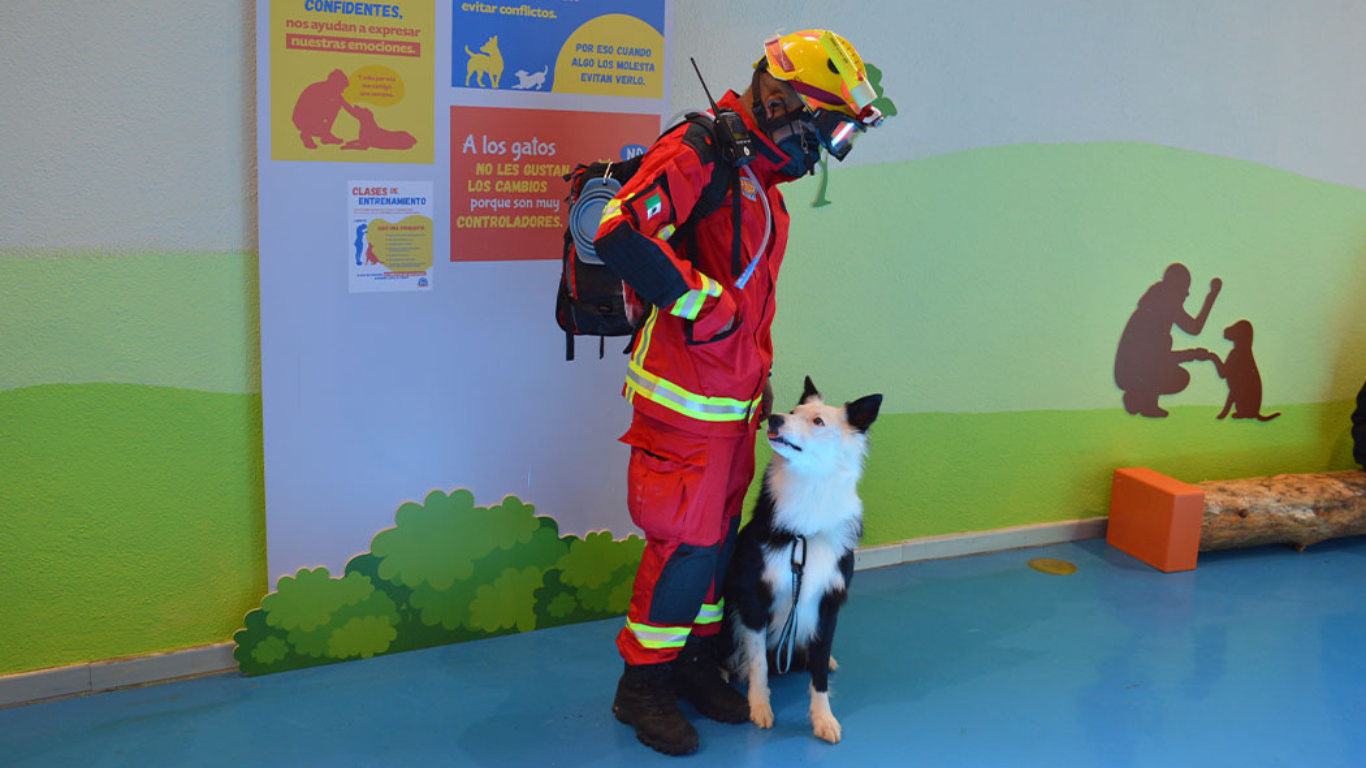 talleres en el papalote