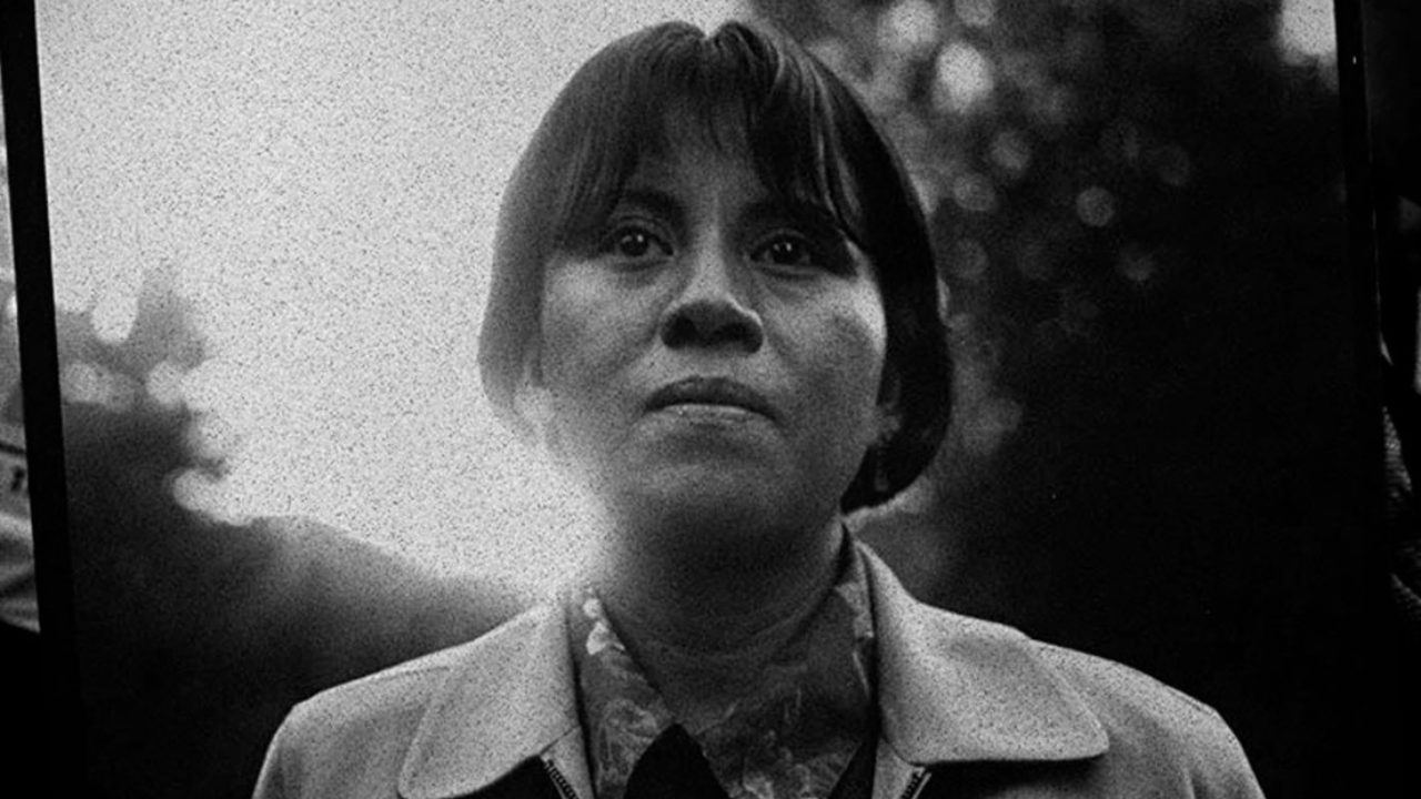 quien mato a digna ochoa