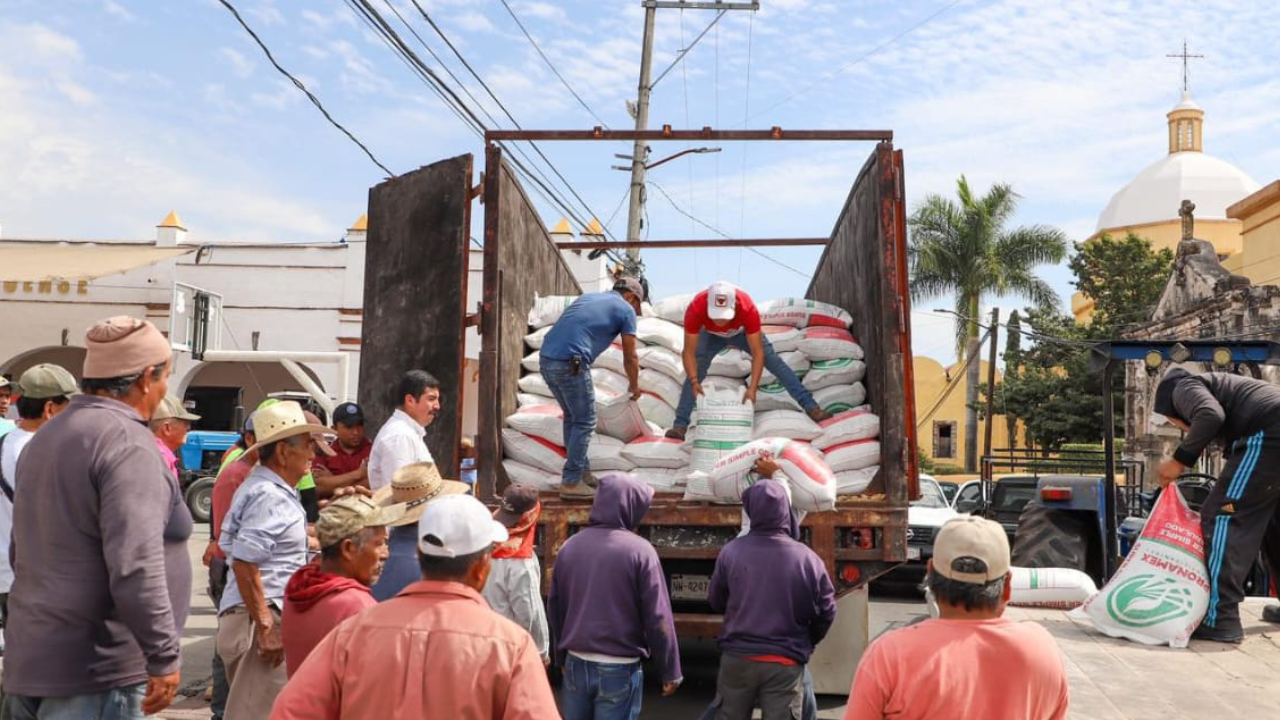 el gobierno municipal de xochitepec entregó 800 bultos de fertilizante