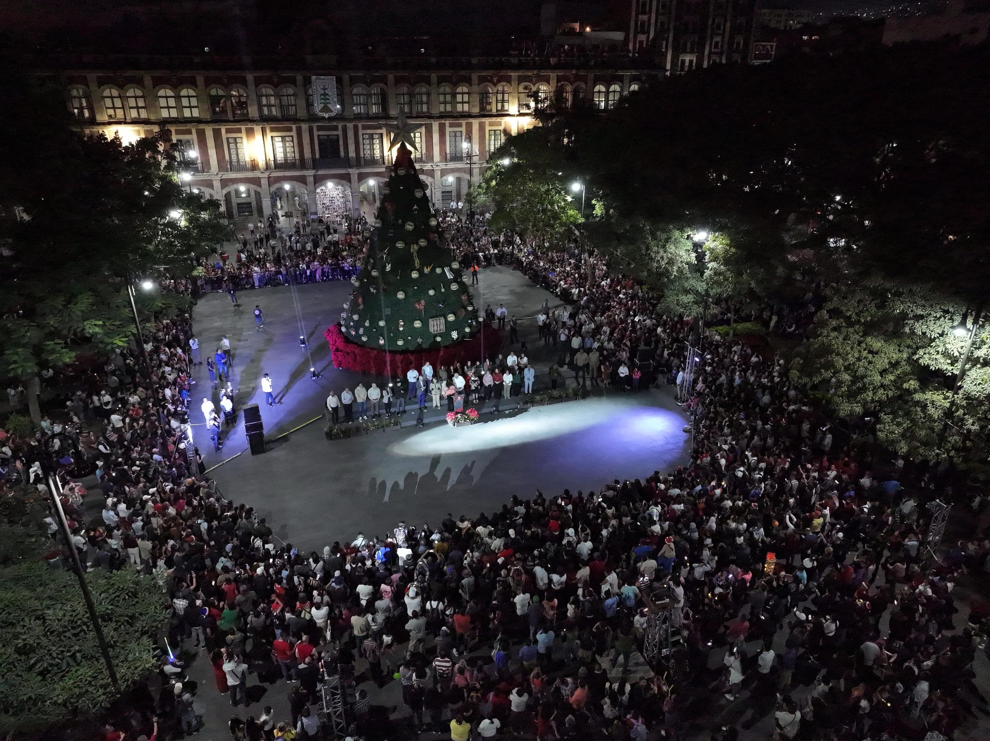 encendido arbol cuernavaca