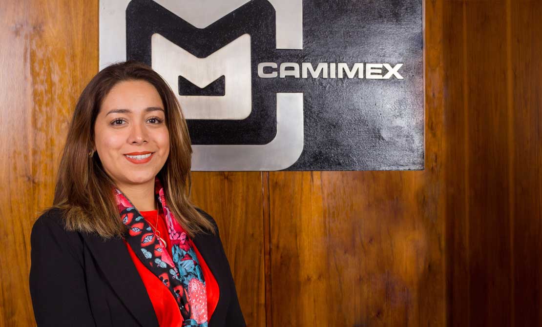Consejo Directivo :: Camimex