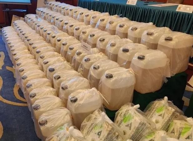 Las ingeniosas formas en las que transportan droga hacia Australia