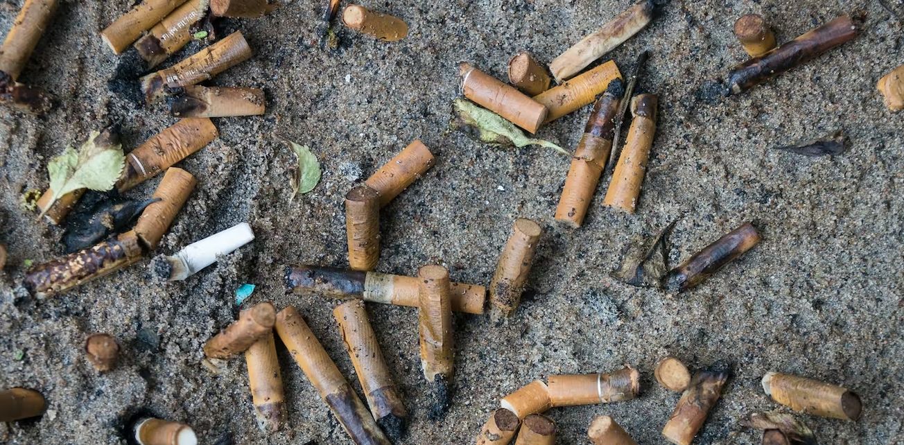 ley antitabaco cuernavaca