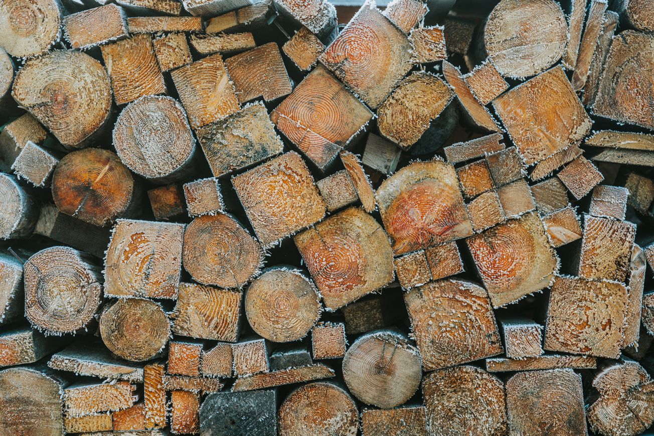 aserradero precio de madera