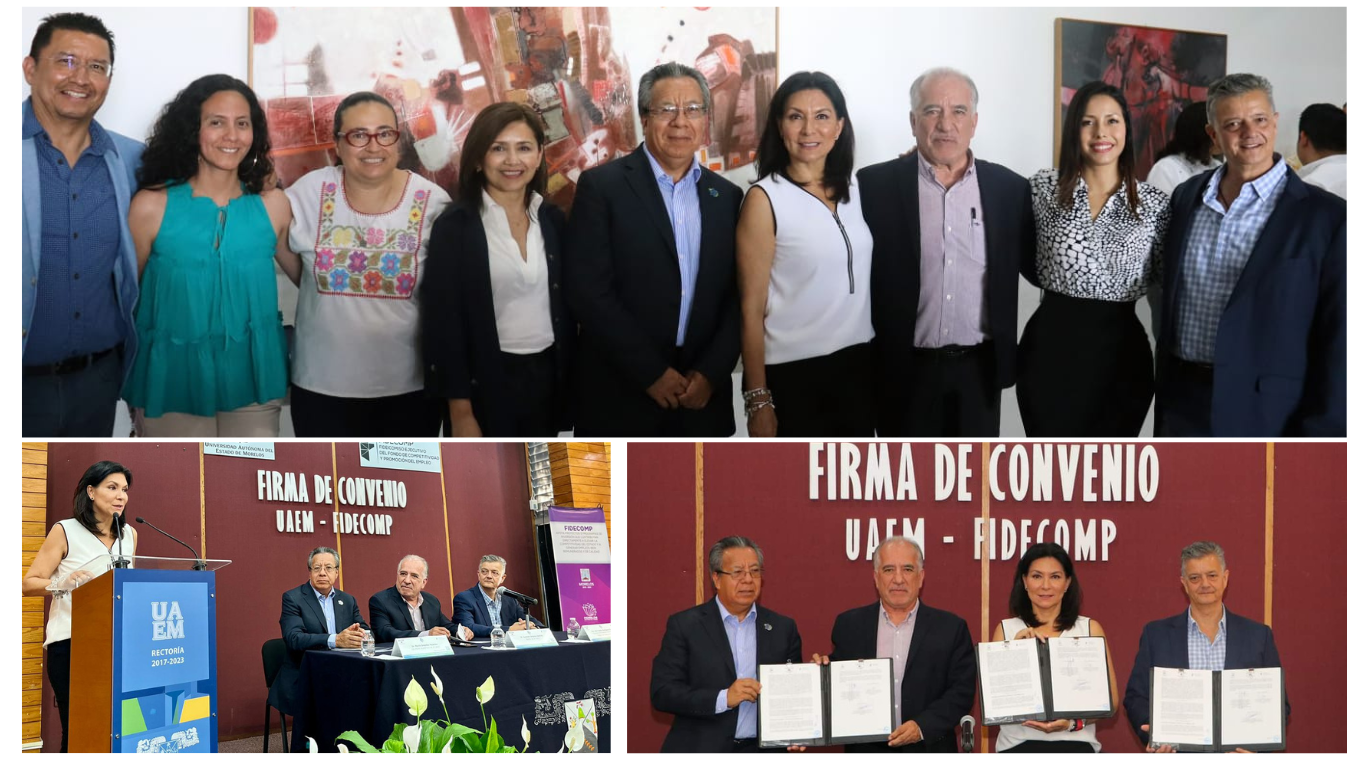 ana cecilia rodriguez