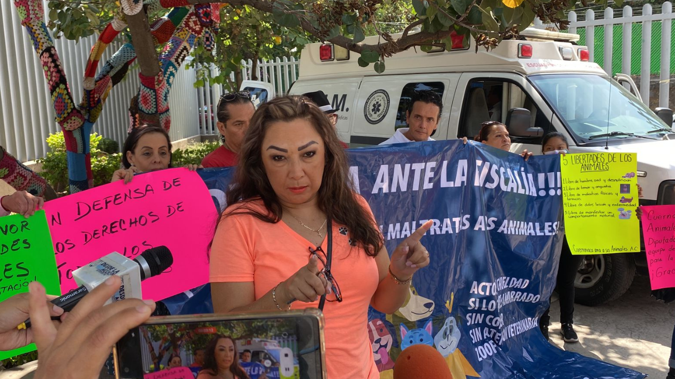 derechos de los animales