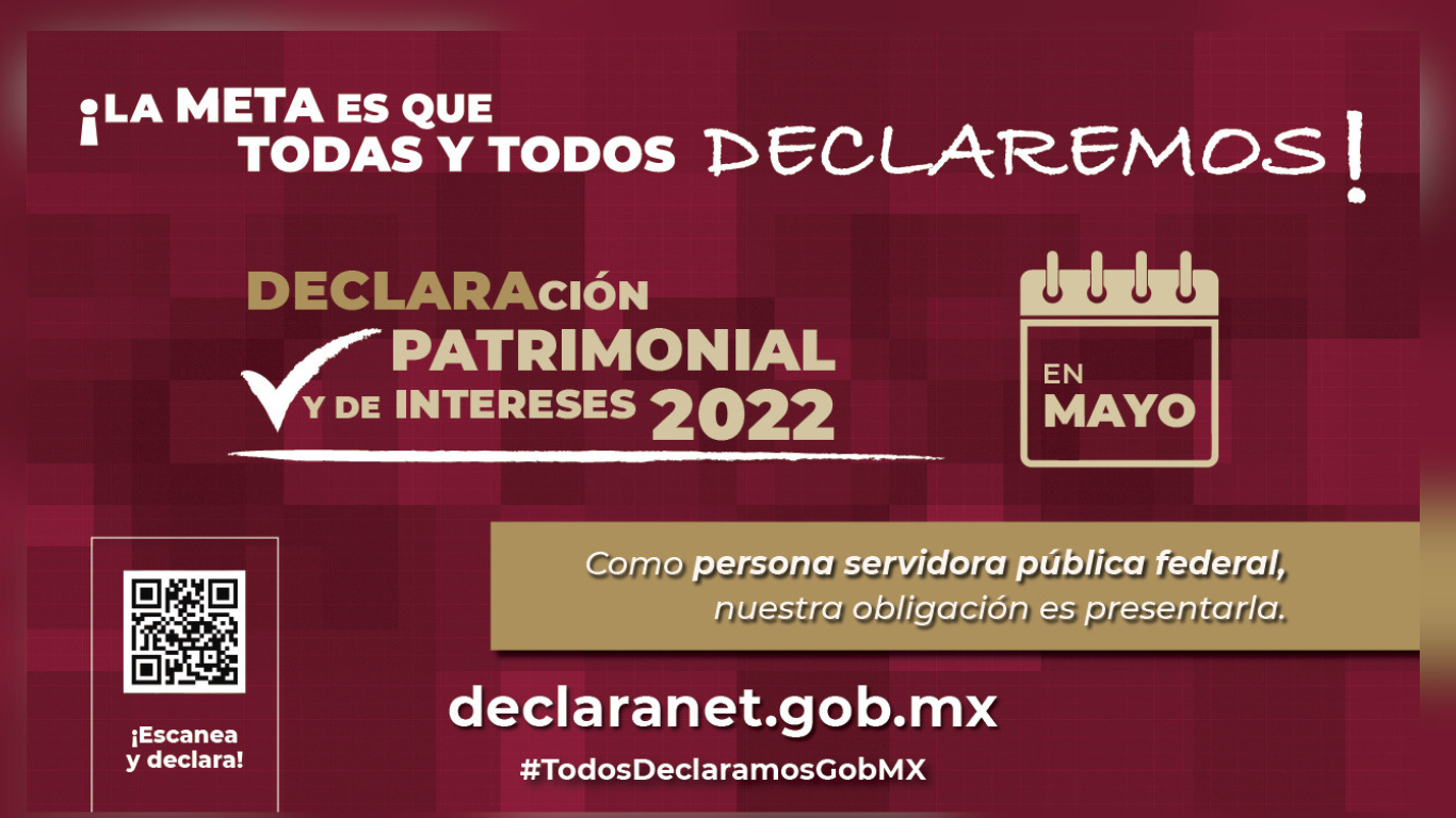 declaracion patrimonial servidores publicos