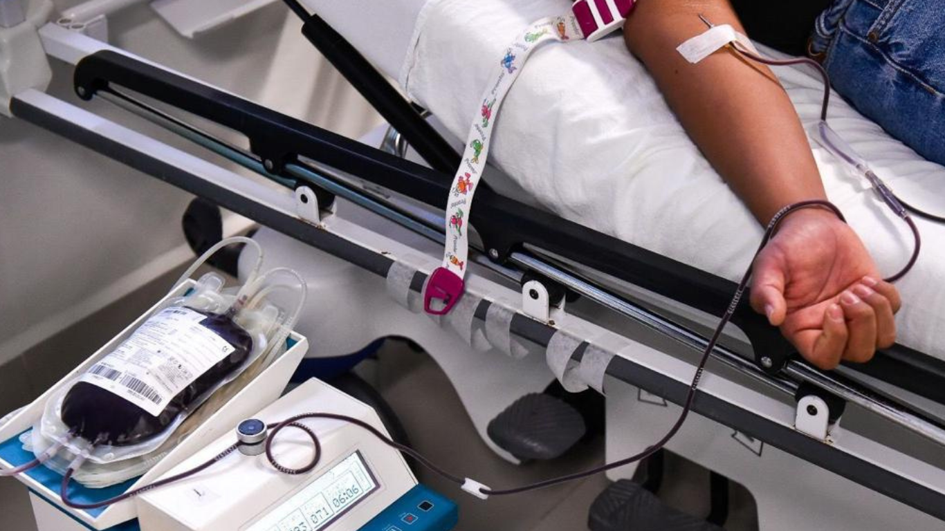 dia mundial del donante de sangre