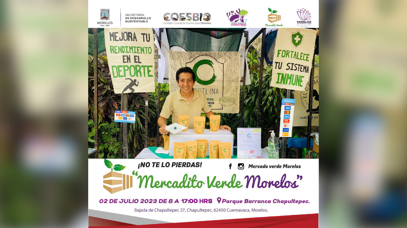 mercadito verde morelos