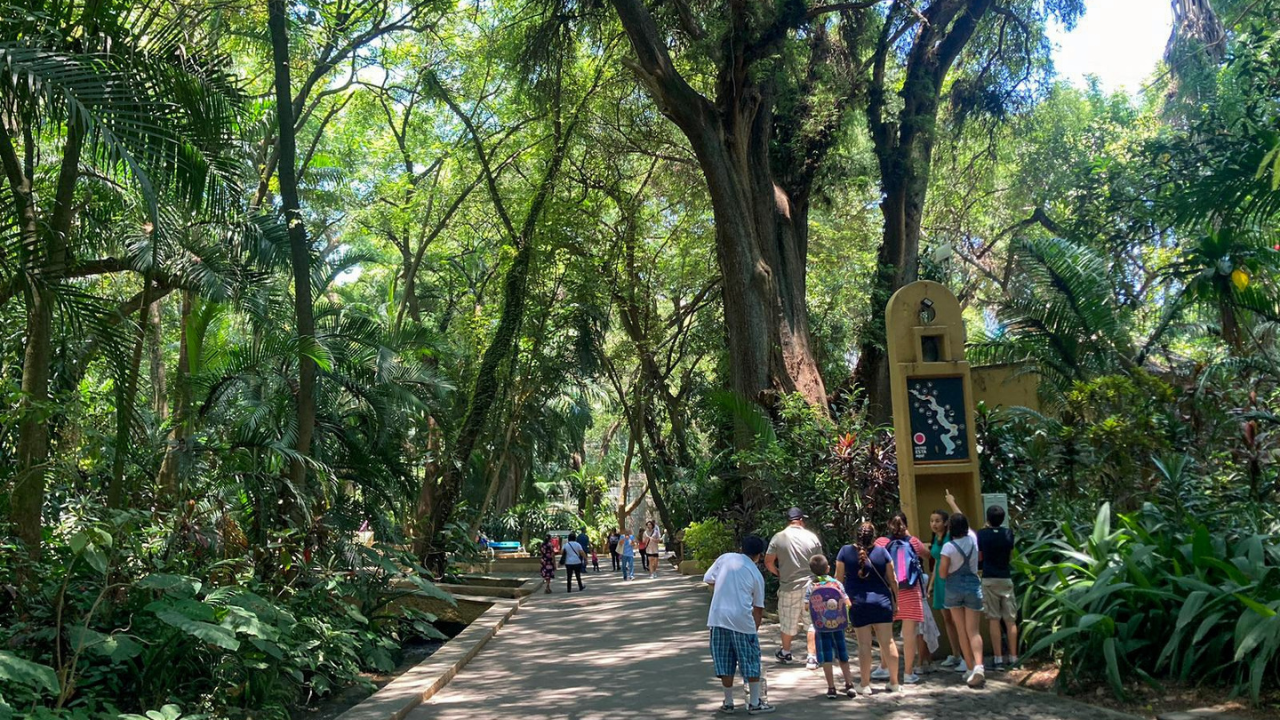 parque chapultepec vacaciones