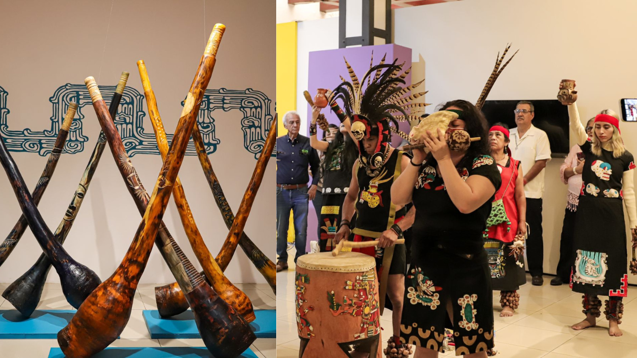 mmapo nuevas exposiciones