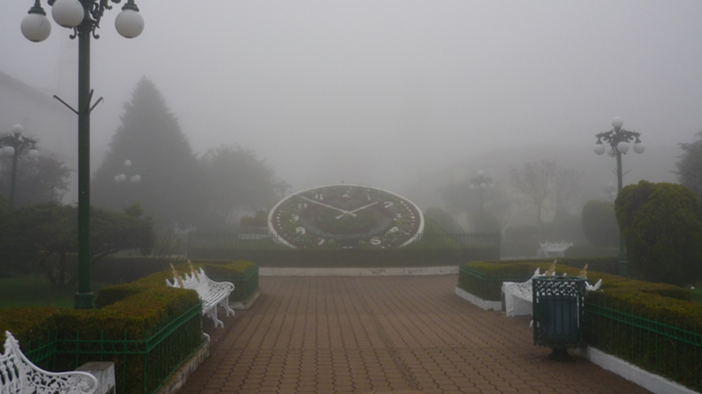 feria de la manzana 2023