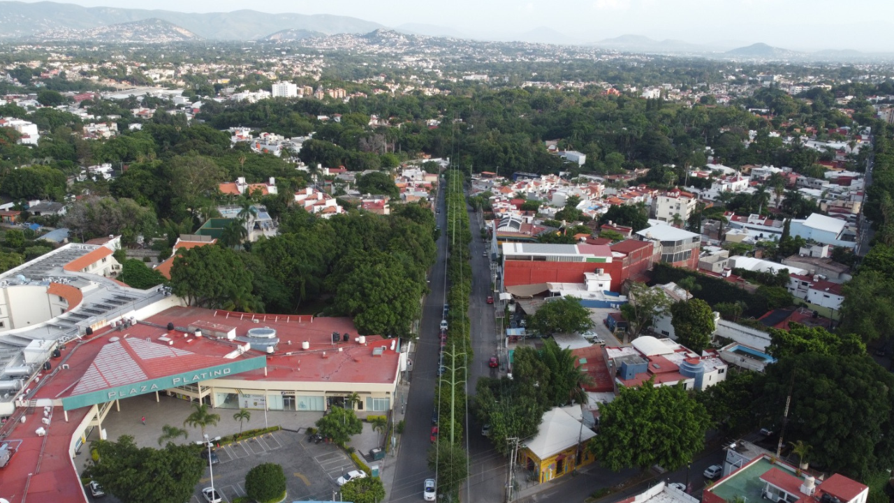Cuernavaca contará con su "Catálogo Arbóreo"