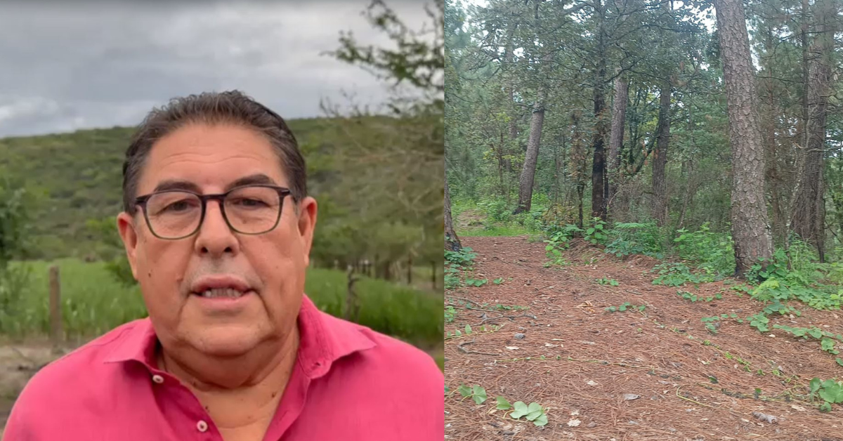 wero victor mercado chamilpa