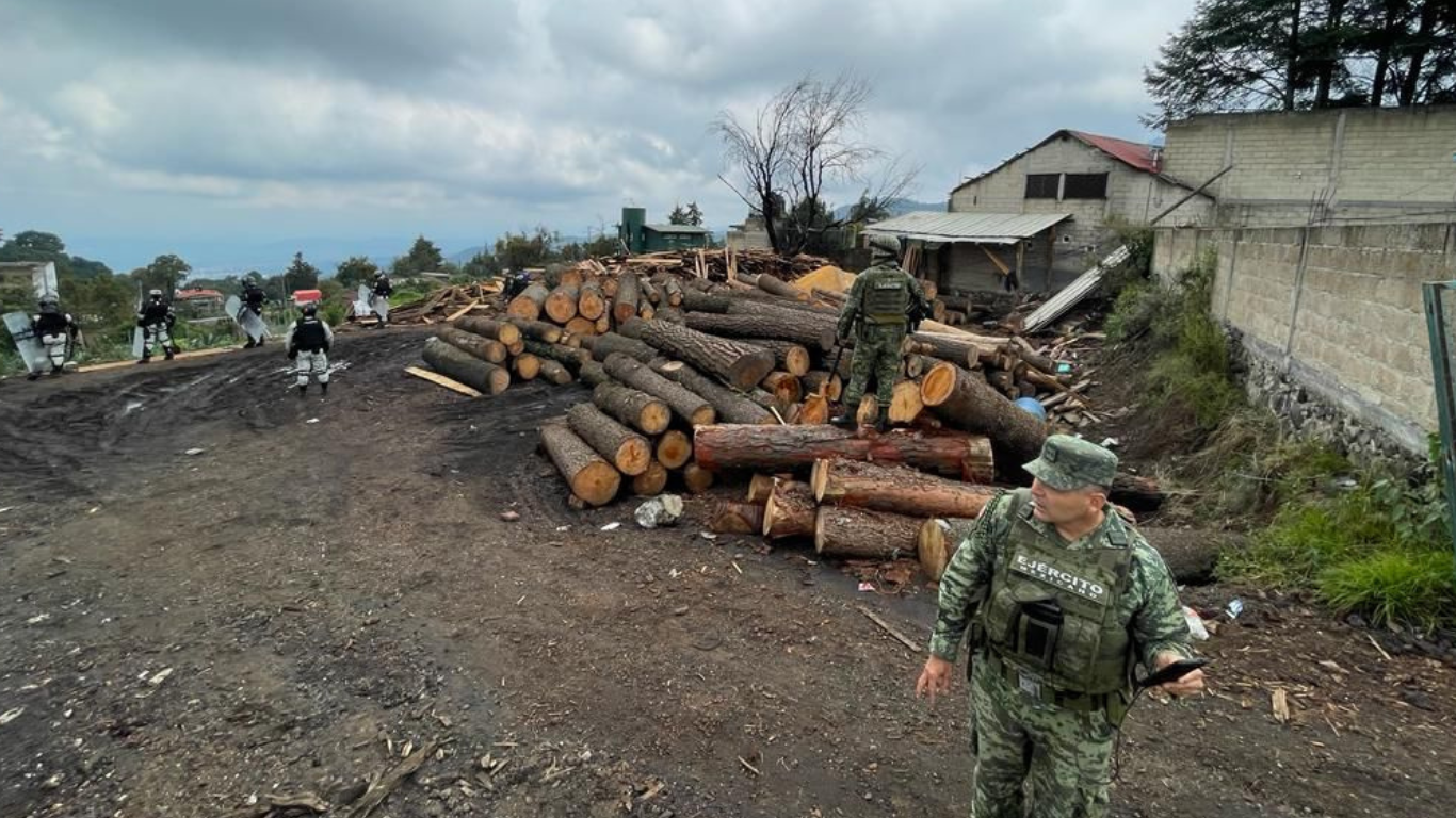 tala clandestina en huitzilac