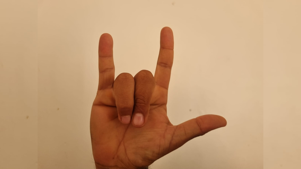 lengua de señas mexicanas