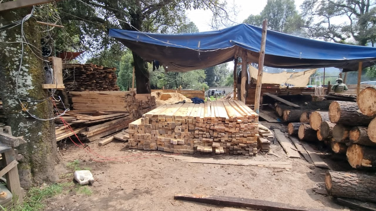 profepa fgr incautan 900 piezas de madera