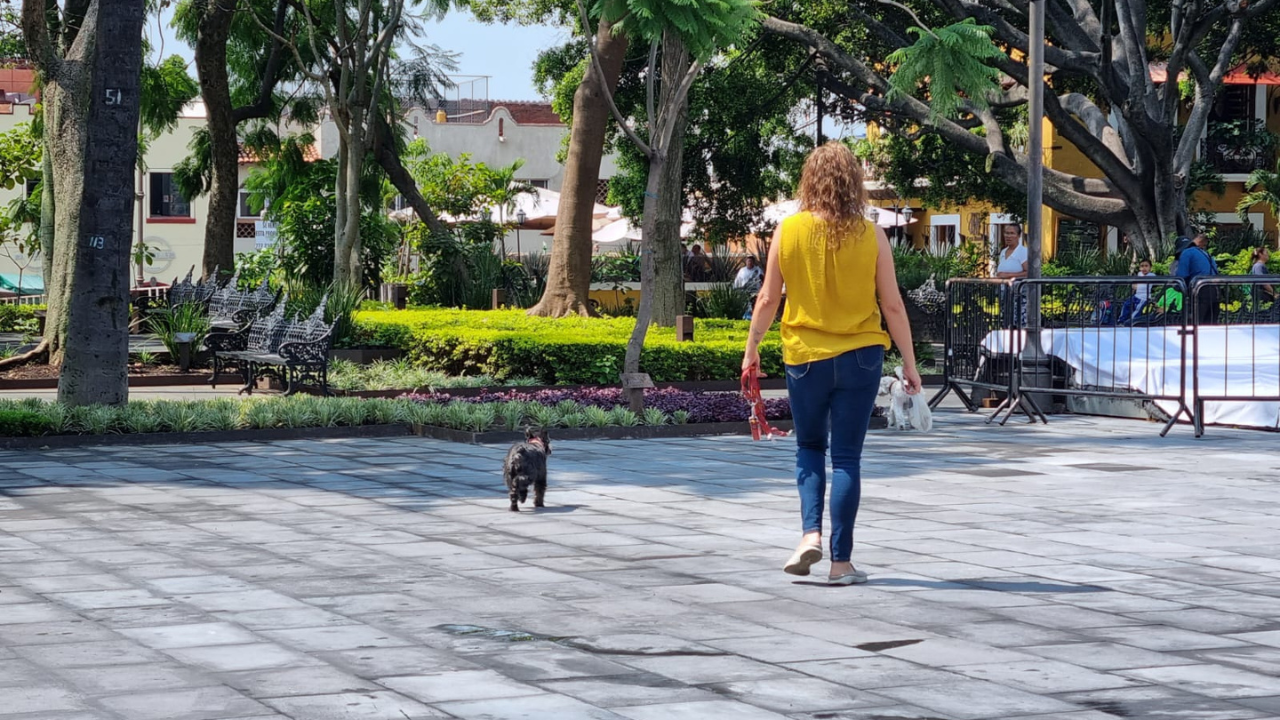 sds iniciativa ley mascotas con correa