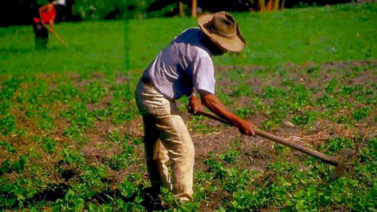 amagan con paro nacional campesinos
