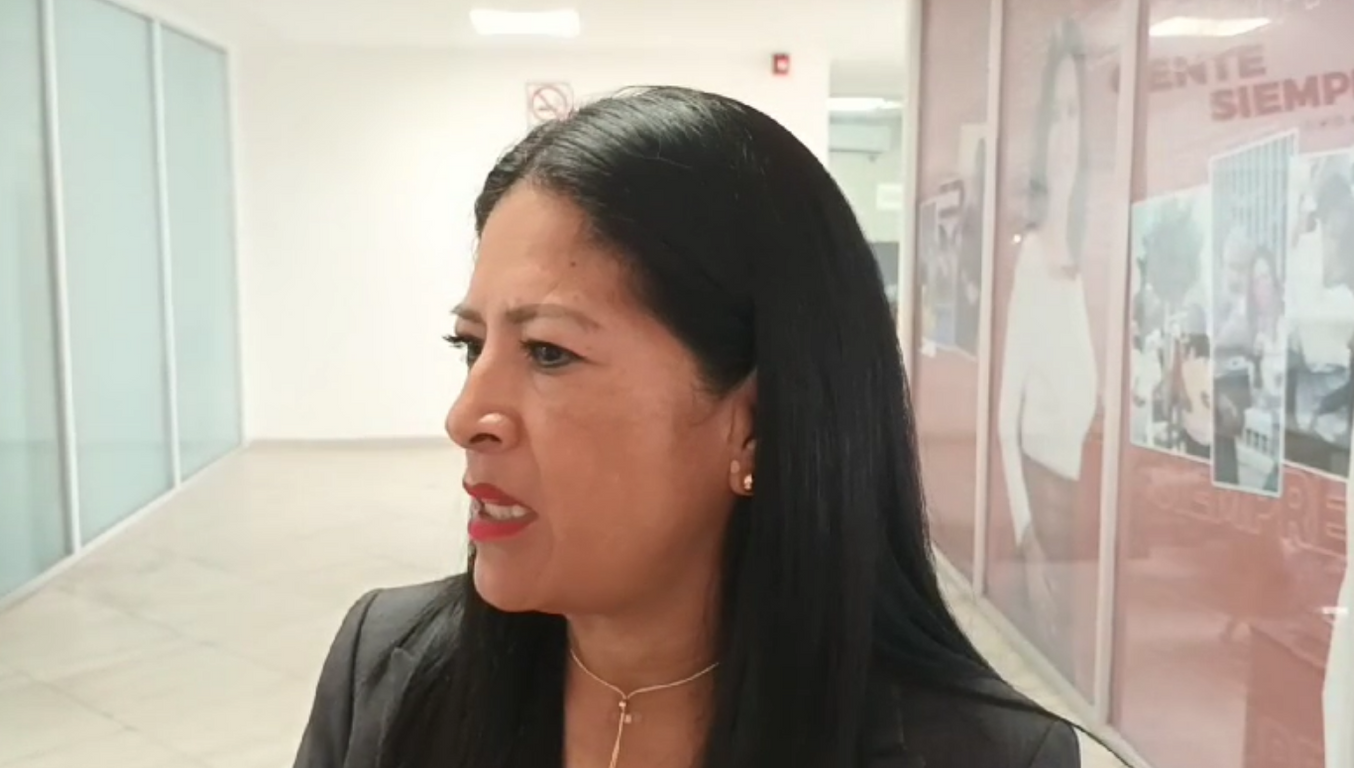 mirna zavala diputada