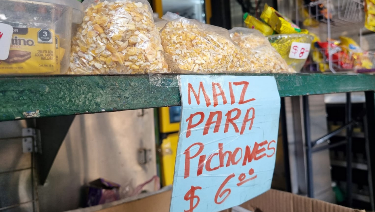 palomas cuernavaca alimento