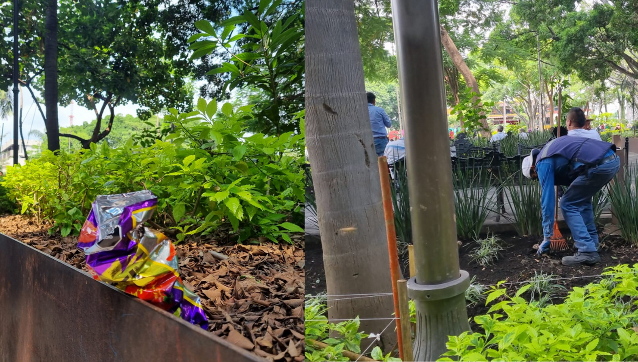 basura plaza armas escenas