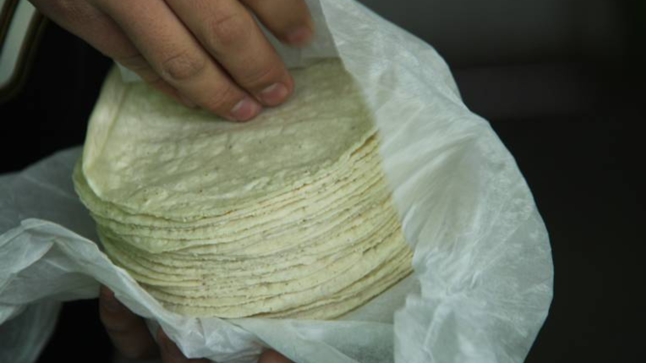 tortillerias morelos