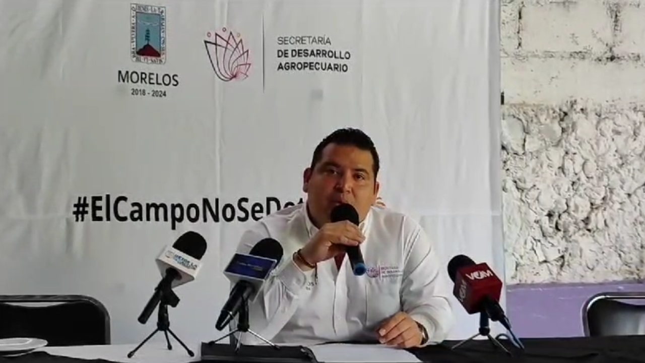 sedagro cultivo morelos