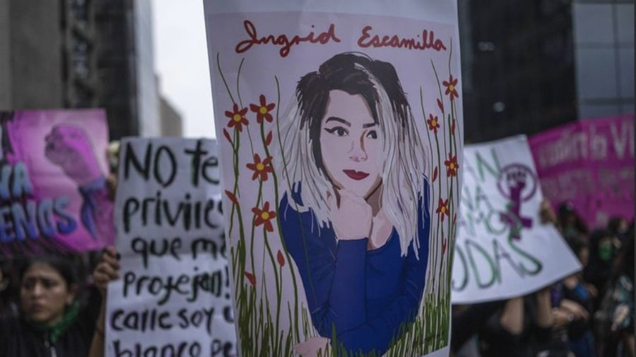 ley ingrid en que consiste