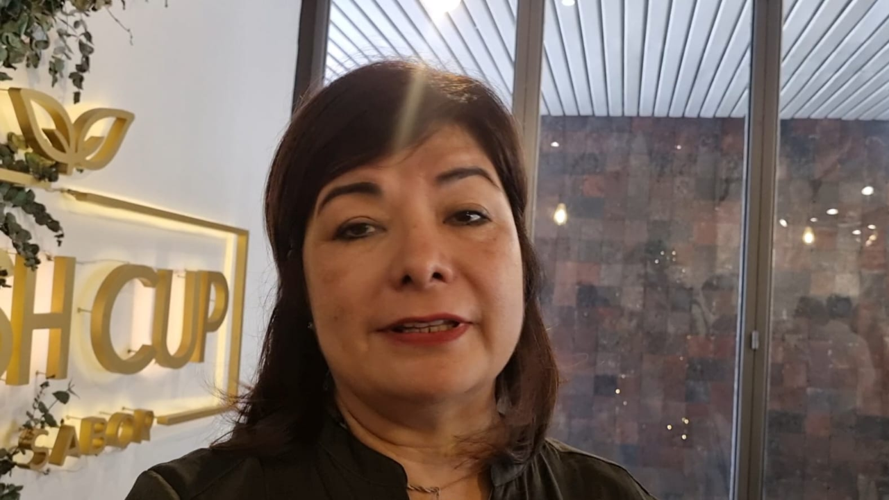 "Tenemos la iniciativa de sacar al estado adelante": Meggie Salgado