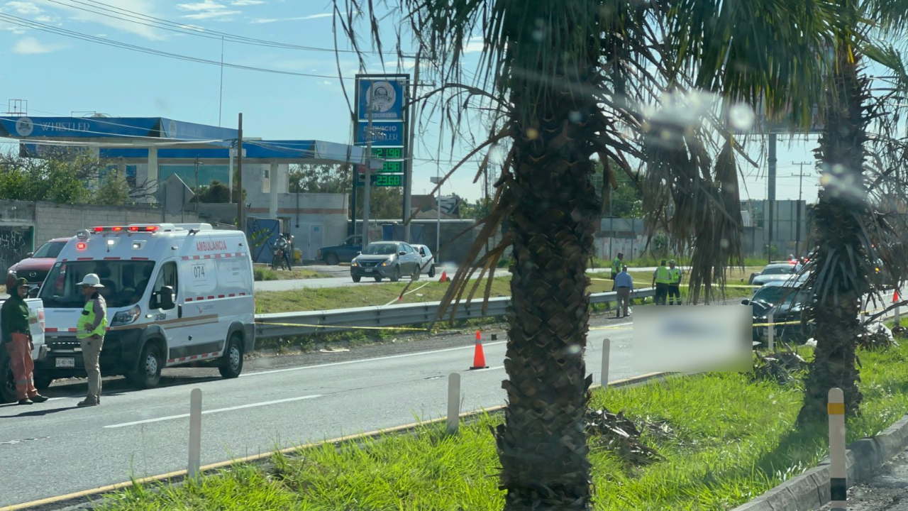 cuautla atropellado muerto