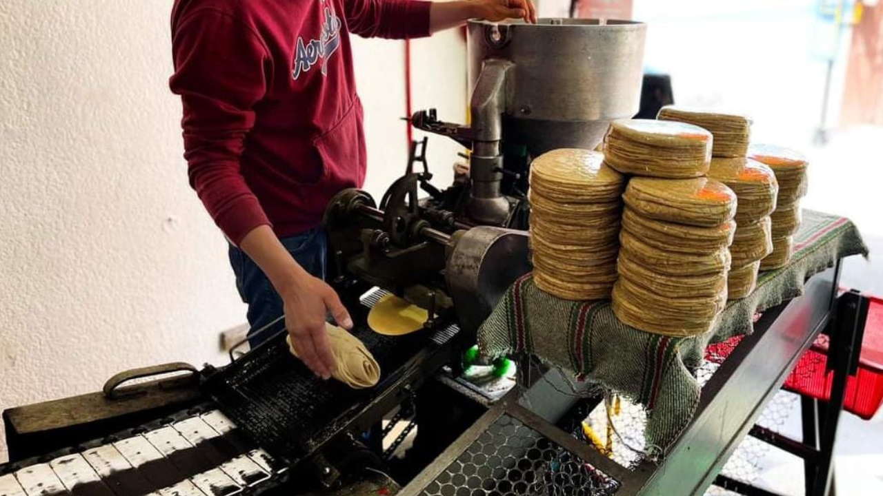 Aumento al precio de la tortilla podría ser en febrero