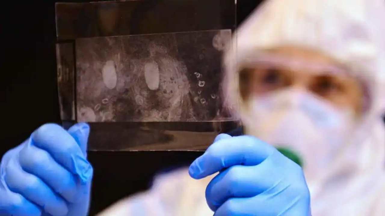 fge colabora identificar cuerpos