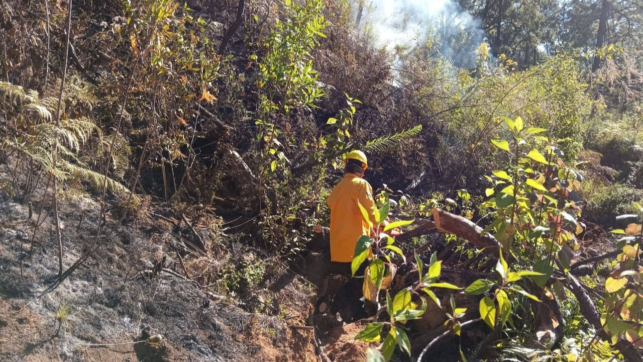 sds confirma extincion de incendio santa maria