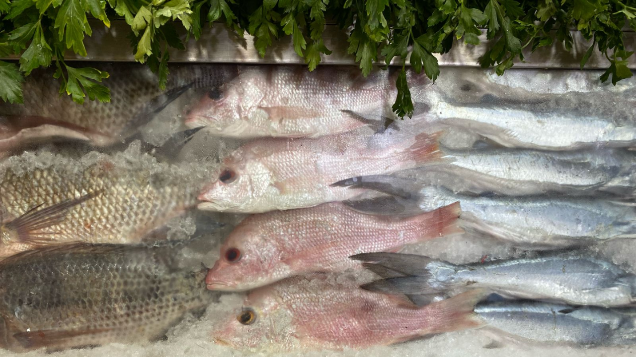 pescados cuaresma morelos