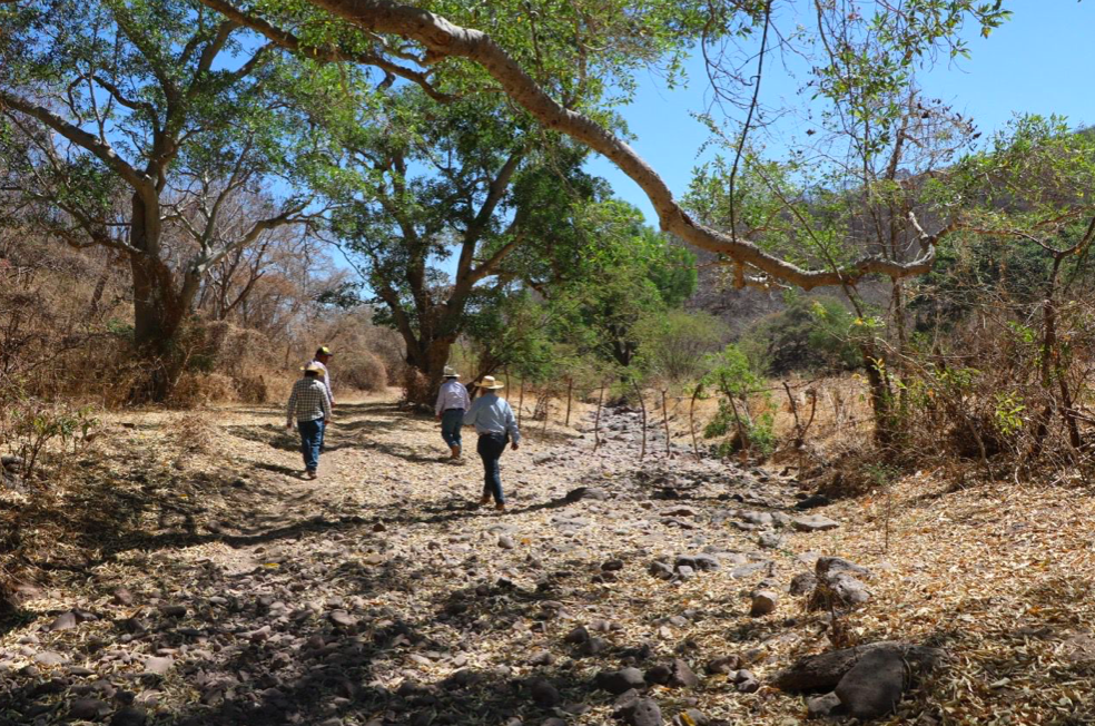 Las presas de Tepalcingo están vacías