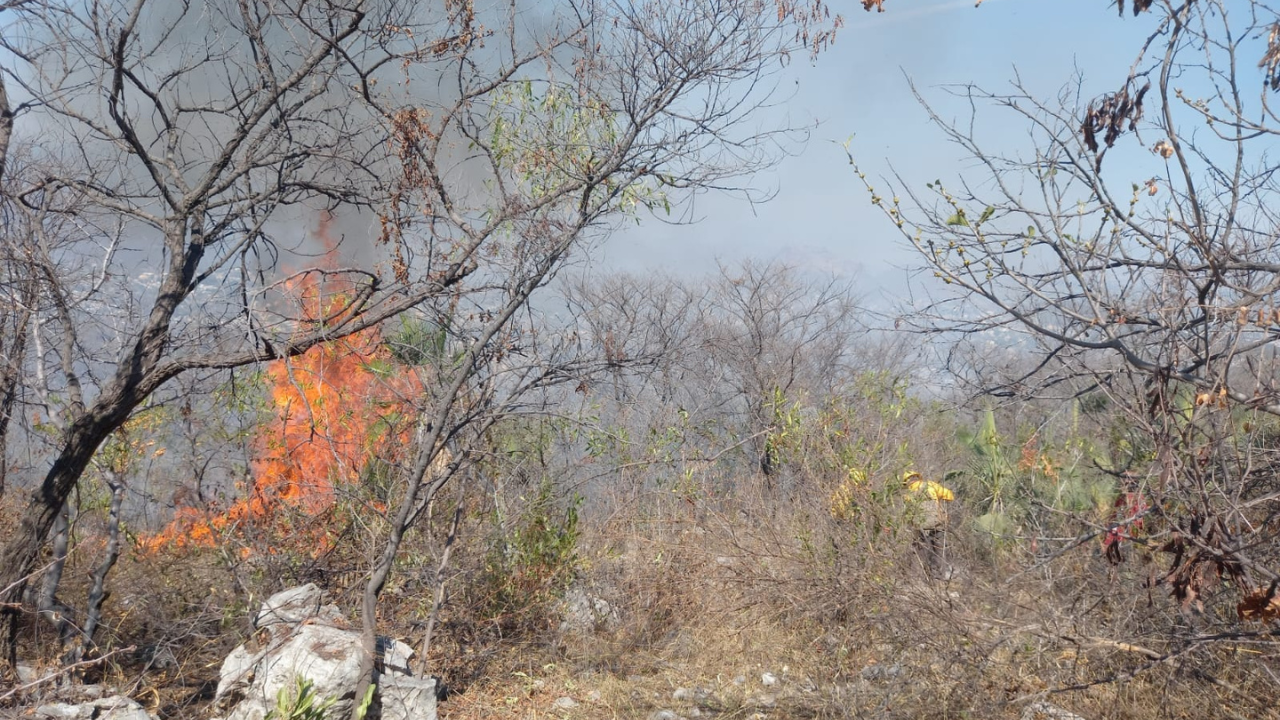 Incendios en Jiutepec y Yautepec acaban con 15 hectáreas de selvas