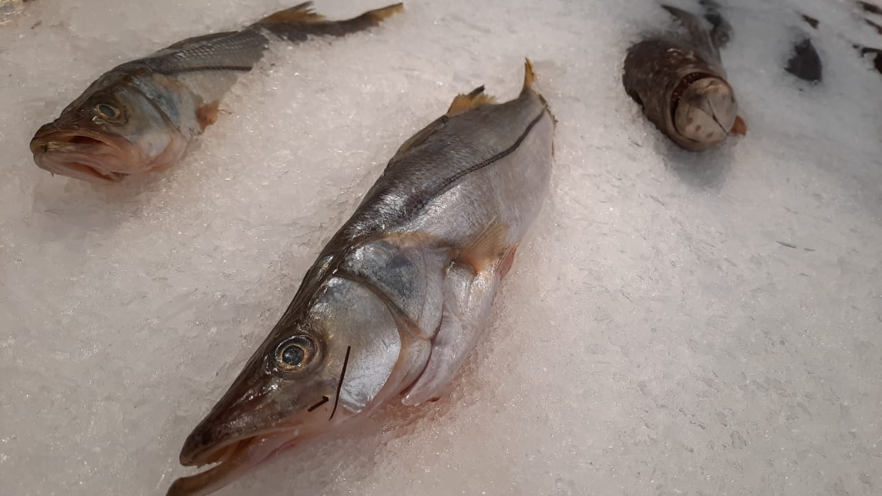 Beneficios nutricionales del consumo de pescado en Cuaresma