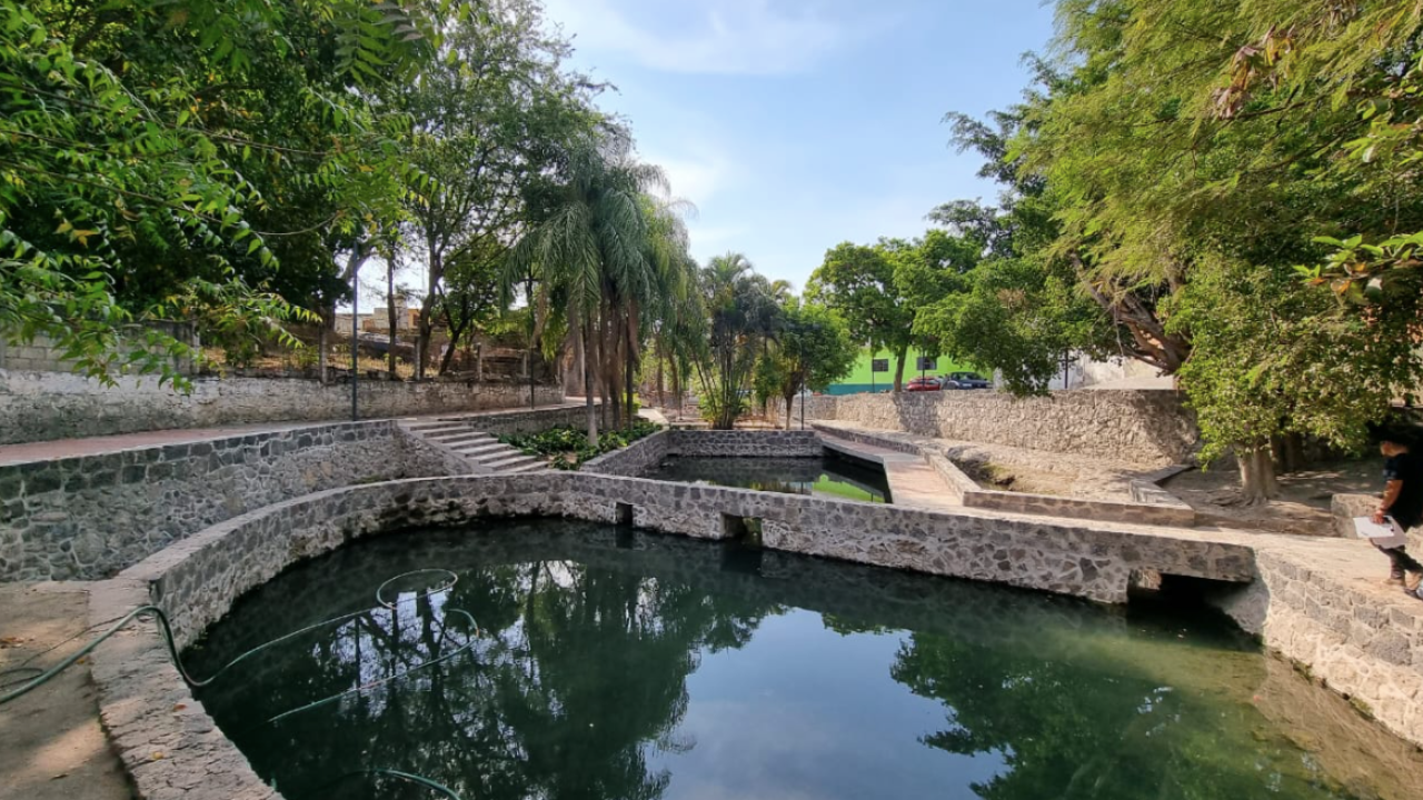 "Ojitos de Agua": Nuevo pulmón verde en Panchimalco