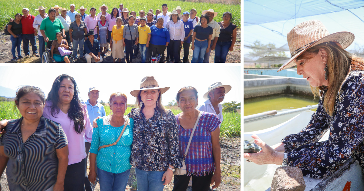 morelos margarita gonzalez saravia 