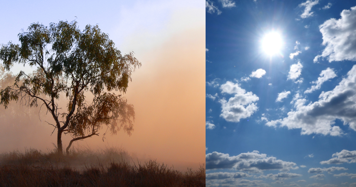 "Tolvaneras" en Morelos este domingo