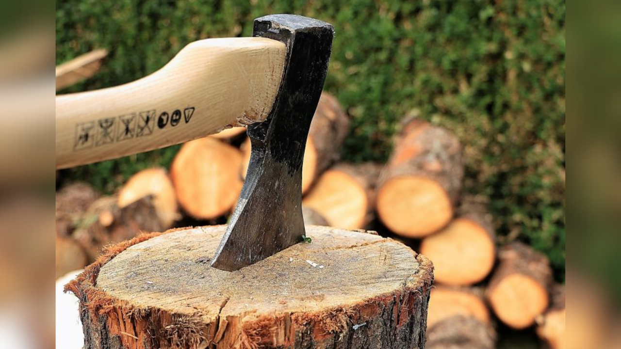 Desde el 2002 se autorizó la tala de árboles en Calzada de los Actores