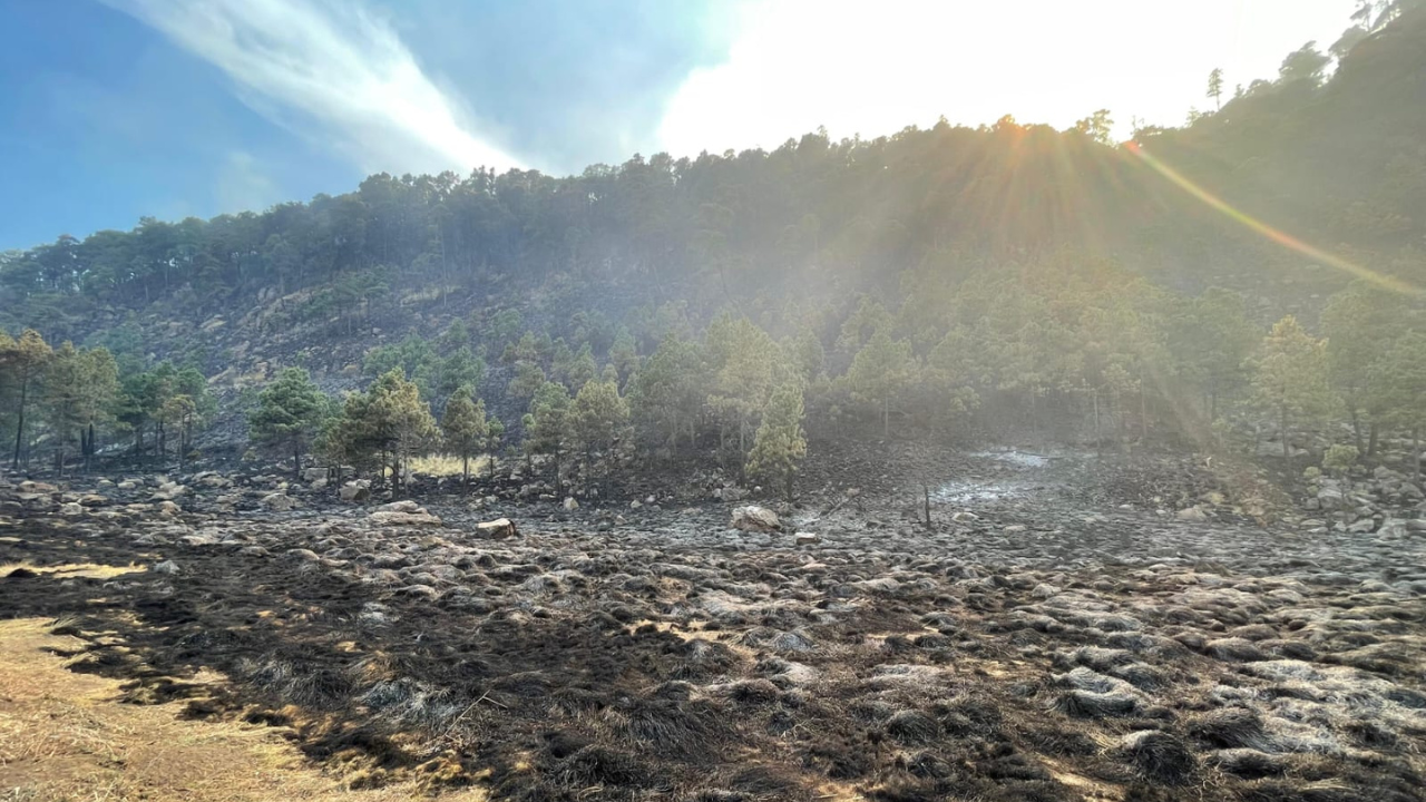 ahogan incendios en huitzilac