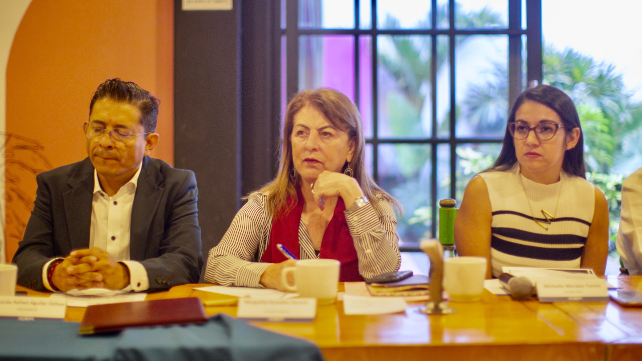 adiem declara que margarita gonzalez saravia cuenta con el perfil mas completo de las candidatas