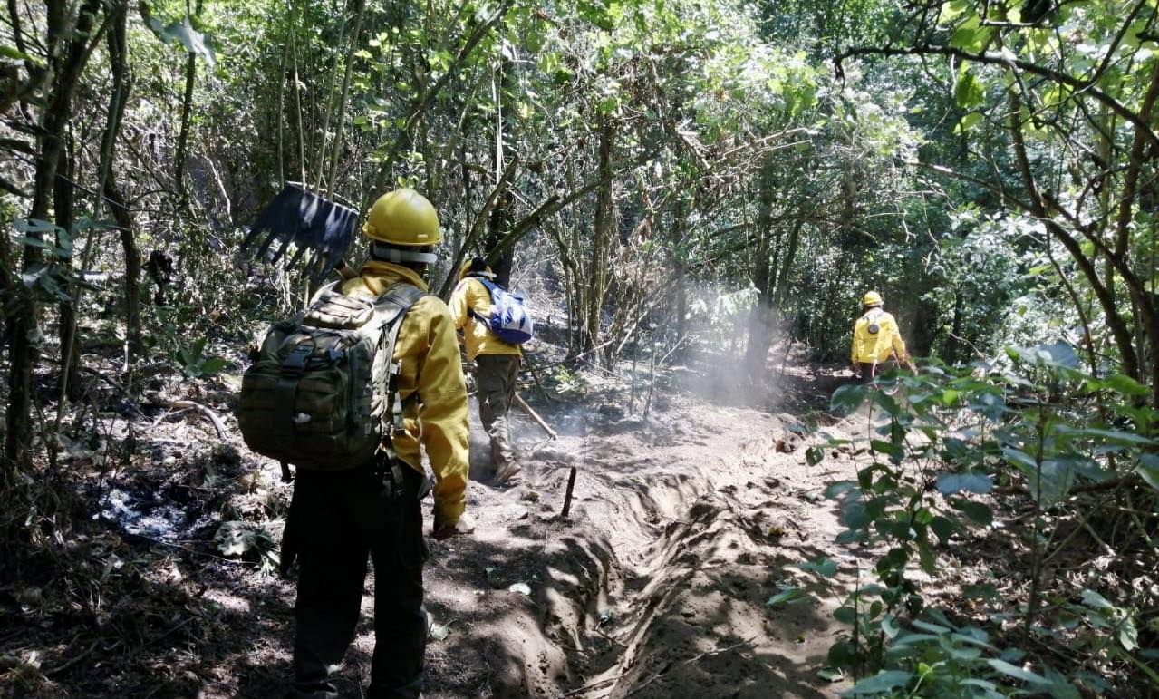 Fueron atendidos doce incendios forestales en Morelos este fin de semana: SDS