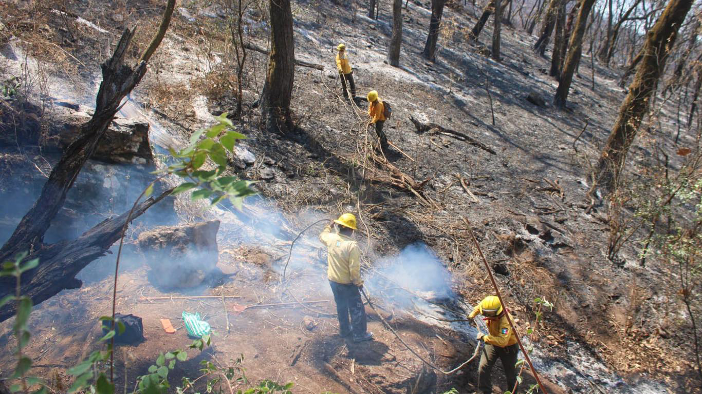 Atiende Centro Estatal de Contingencias cuatro incendios en Puente de Ixtla, Tepoztlán, Jiutepec y Tlayacapan