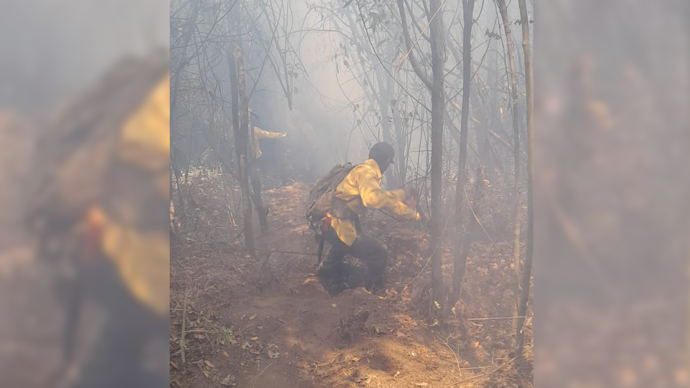 Brigadistas sofocan cuatro incendios forestales este jueves en Morelos