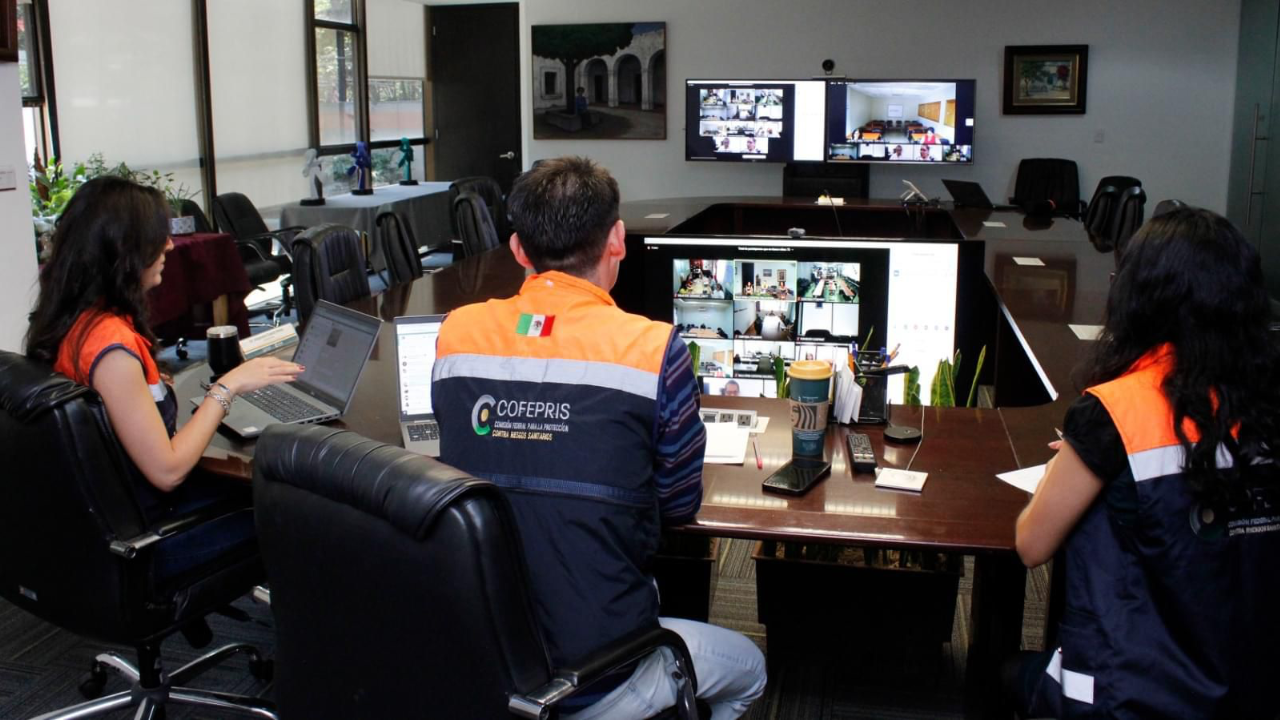 Adquirir medicamentos por internet podría poner en riesgo la vida de quien las consume.