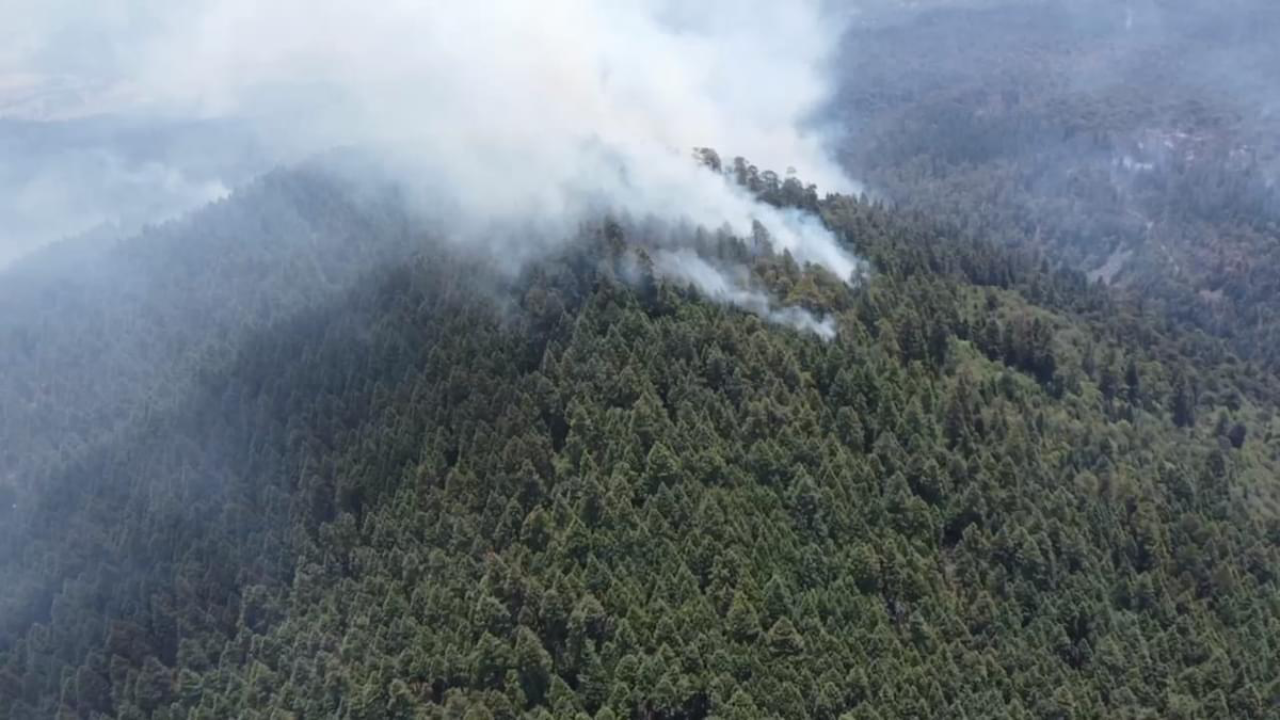 Los incendios forestales incentivan la contaminación ambiental.